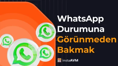 WhatsApp Durumuna Görünmeden Bakmanın Yolları