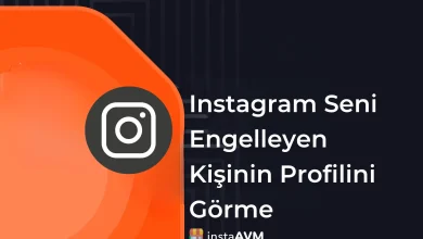 Instagram Seni Engelleyen Kişinin Profilini Görme